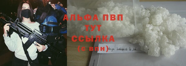 ГАЛЛЮЦИНОГЕННЫЕ ГРИБЫ Няндома