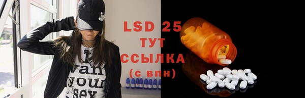 spice Осинники