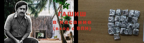 твердый Гатчина
