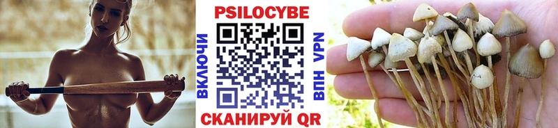 Галлюциногенные грибы мухоморы  как найти закладки  Безенчук 
